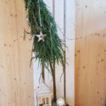 blumenhof-zuswil-advent-2018-11